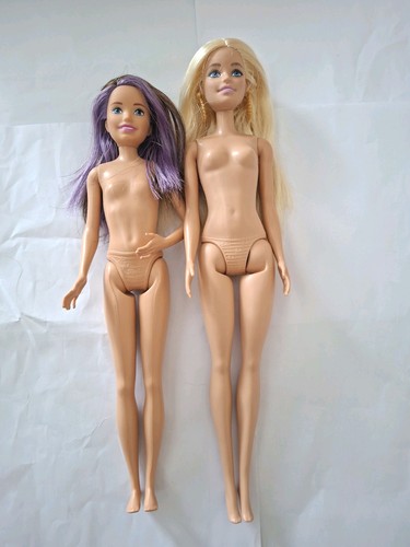 Barbie fashionistas doll - barbie,
