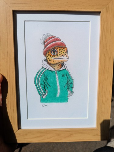 Hand coloured framed - coloured, drawing