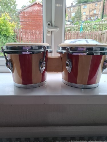 Bongo drums - bongo,