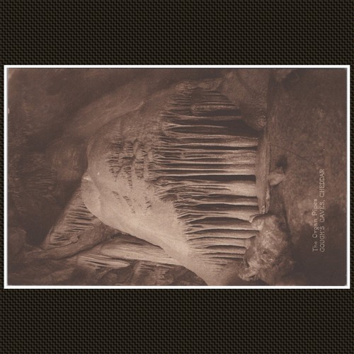 The organ pipes gough caves - pipes, gough's