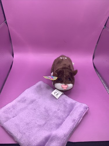 Zhu pet hamster - hamster, and
