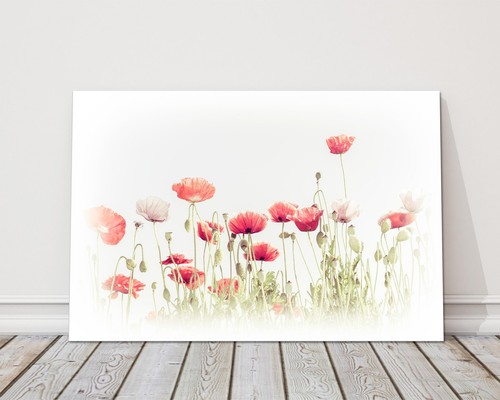 Wild poppy watercolour canvas - poppy,