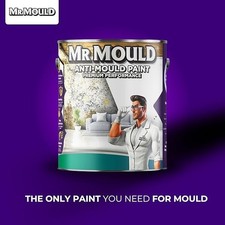 Mr Mould Anti Mould Paint