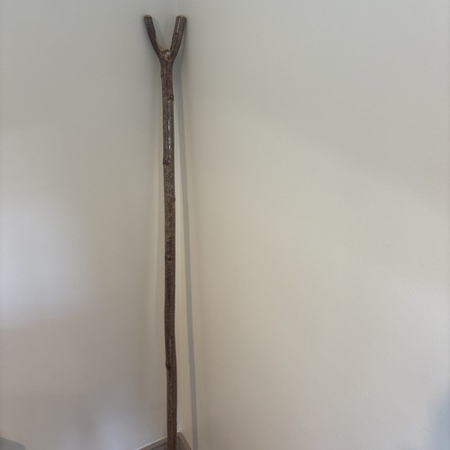 Irish hazel walking stick - walking, stick.
