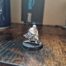 Metal Samwise Gamgee on Foot