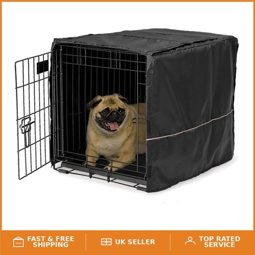 Versatile small dog - small,