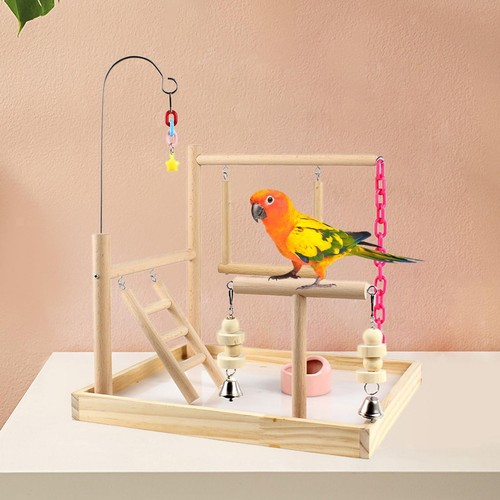 Parrot bird playground - parrot,