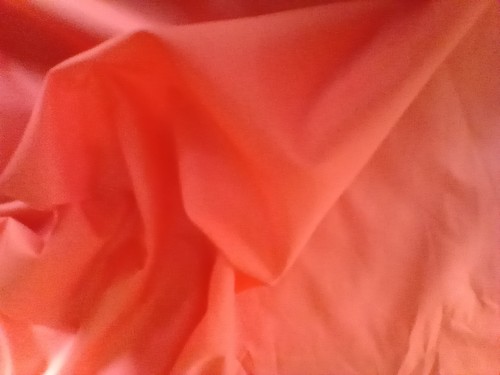 Plain mandarin orange - plain,