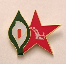 Easter Lily Red Star Starry