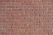 500 Stacey's 1:12th REAL BRICK