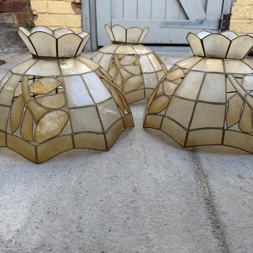 Vintage capiz shell - 3x,