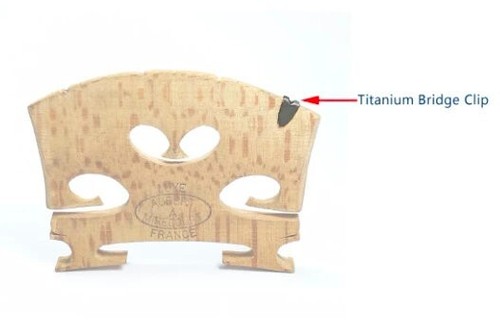 Titanium bridge protector for - protector,,
