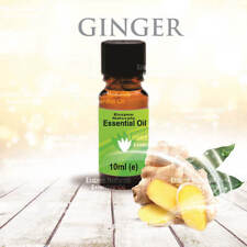 Ginger Essential Oil 10ml -
