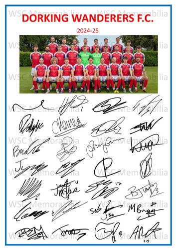 11755 dorking wanderers - dorking,