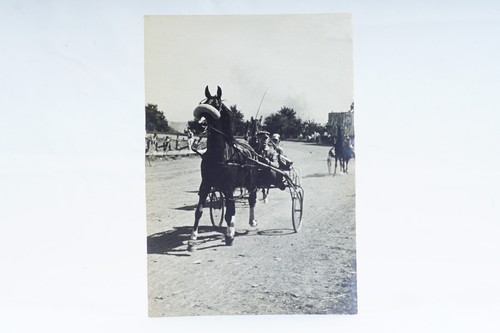Vintage horses jockeys - &,