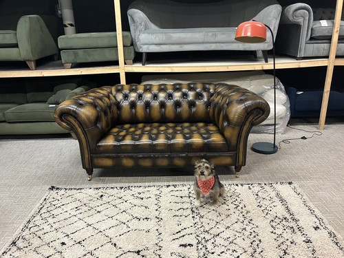 Regency seater antique tan - 2,