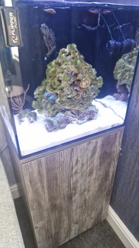 Aqua one nanoreef - 80, reef