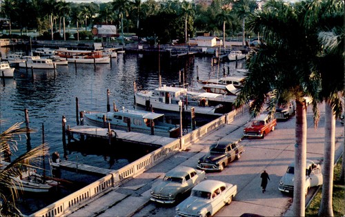 City yacht basin bradenton - city,