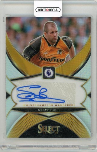 2024 panini select - panini, steve