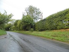 Photo 6x4 Oxford Street