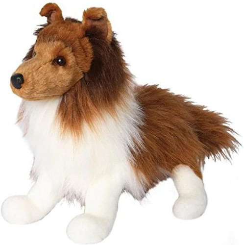 Douglas whispy sheltie - sheltie, dog