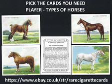 PLAYER - TYPES OF HORSES -