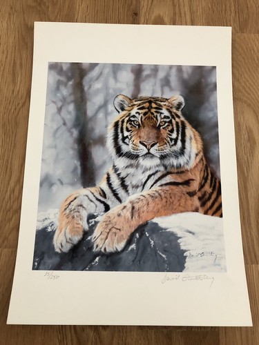 Tiger signed limited edition - signed,