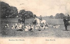POSTCARD  YORKSHIRE   BRAMHAM  MOOR   Hounds