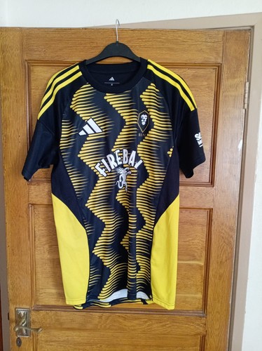 Salford city 2025 - salford,