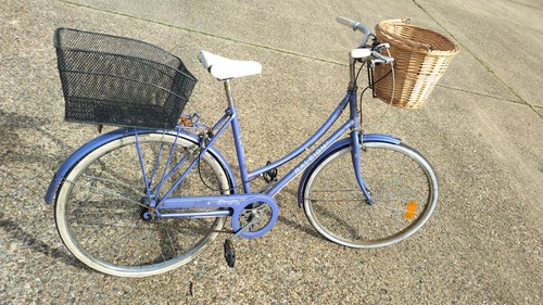 Vintage raleigh caprice - raleigh, step