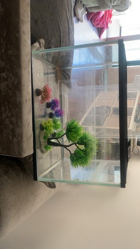 Small pets home aquarium - small,