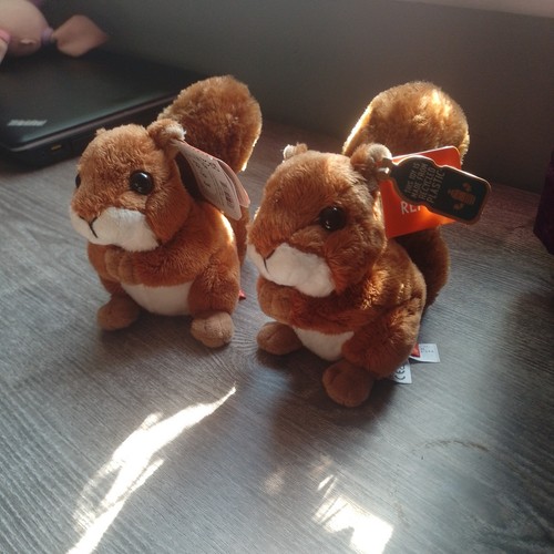 Super soft fluffy - plush, teddy