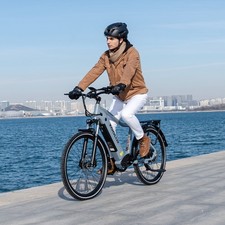 26" Electric Bikes 250W 48V