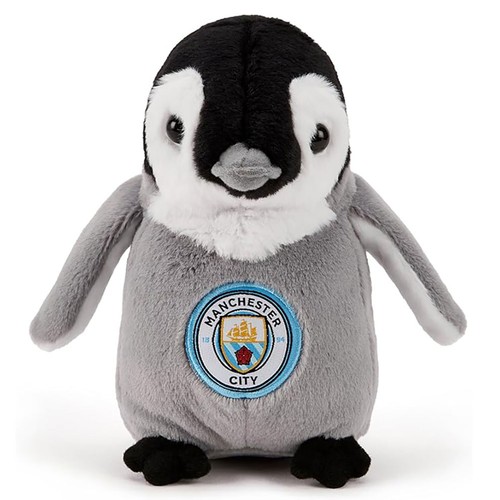 Manchester city plush - manchester,