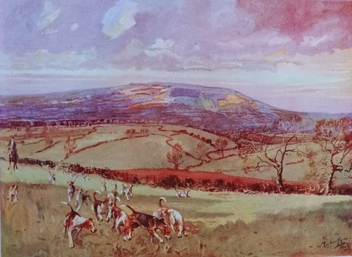 Michael lyne fox - fox, print