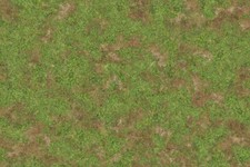 Spring grass wargaming - wargaming, /