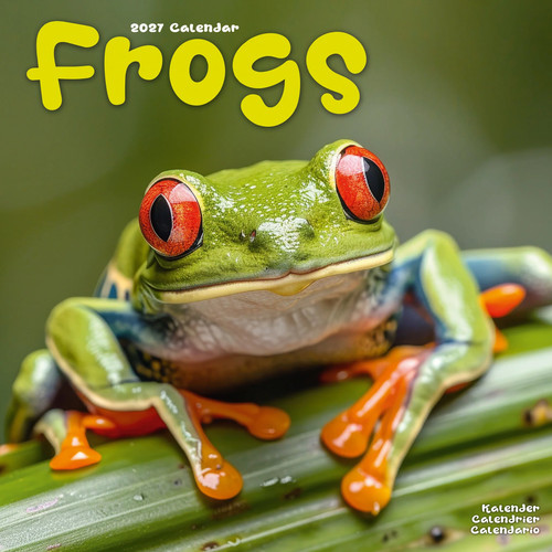 Frogs 2027 calendar animal - calendar, |