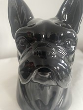 Unique,Fun Water Jug / Black