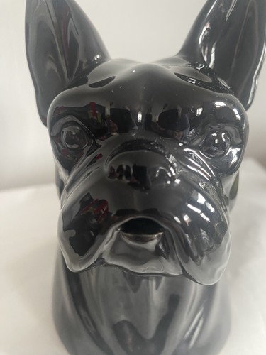 Unique fun water jug black - unique,fun,
