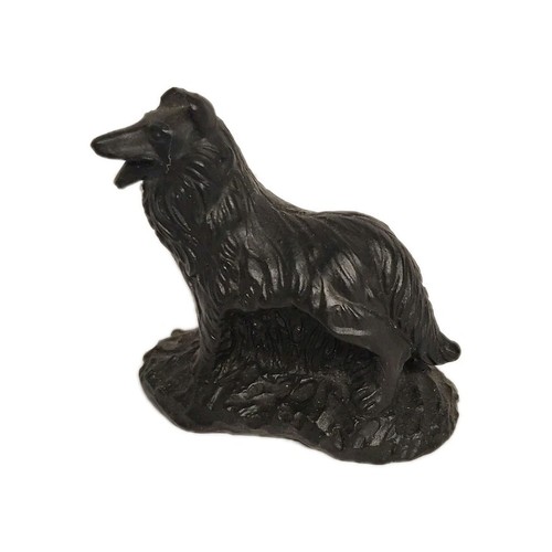 Welsh slate collie - slate, dog