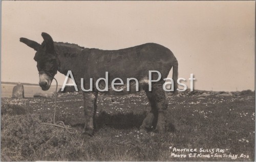 Rppc scilly isles - rppc, "another