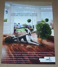 2010 print ad - Pergo flooring big Great Dane dog & ficus tree Advertising Page