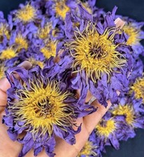 Organic Blue Lotus Whole Flower Tea (Nymphaea Caerulea) 30g UK Herbalist