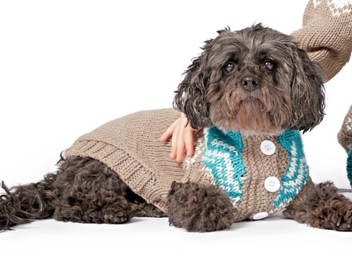 0154 knitting fair isle - knitting, dog