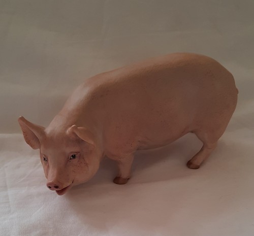 Vintage aynsley porcelain boar - vintage,