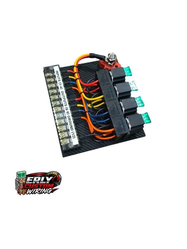 Race car fuse relay - fuse/relay, panel