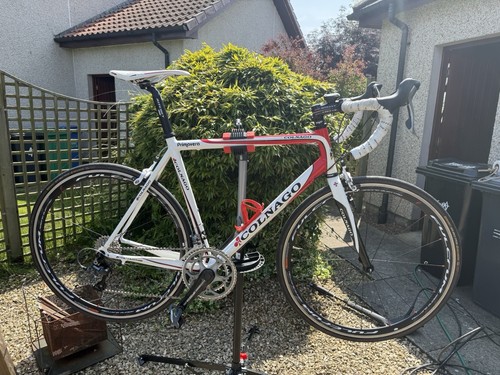 Colnago primavera road bike - colnago,
