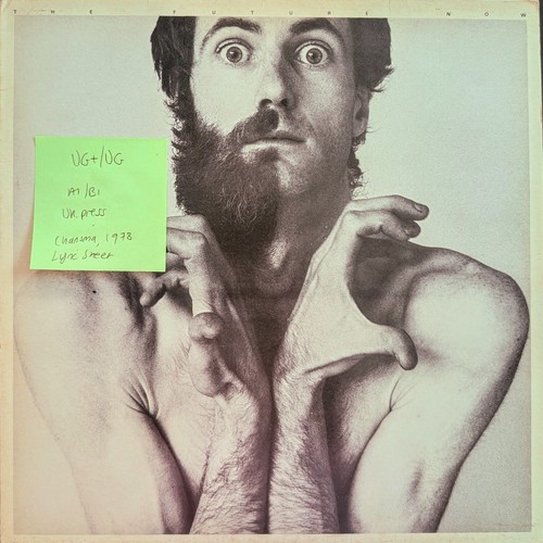 Peter hammill the future - hammill,