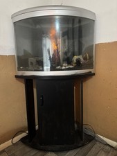 Aqua One Fish Tank 100 Litres UFO 550 Complete Set Up Cabinet