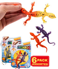 Colour Changing Lizards